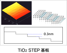 TiO2 STEP基板