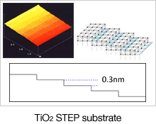 TiO2 STEP substrate